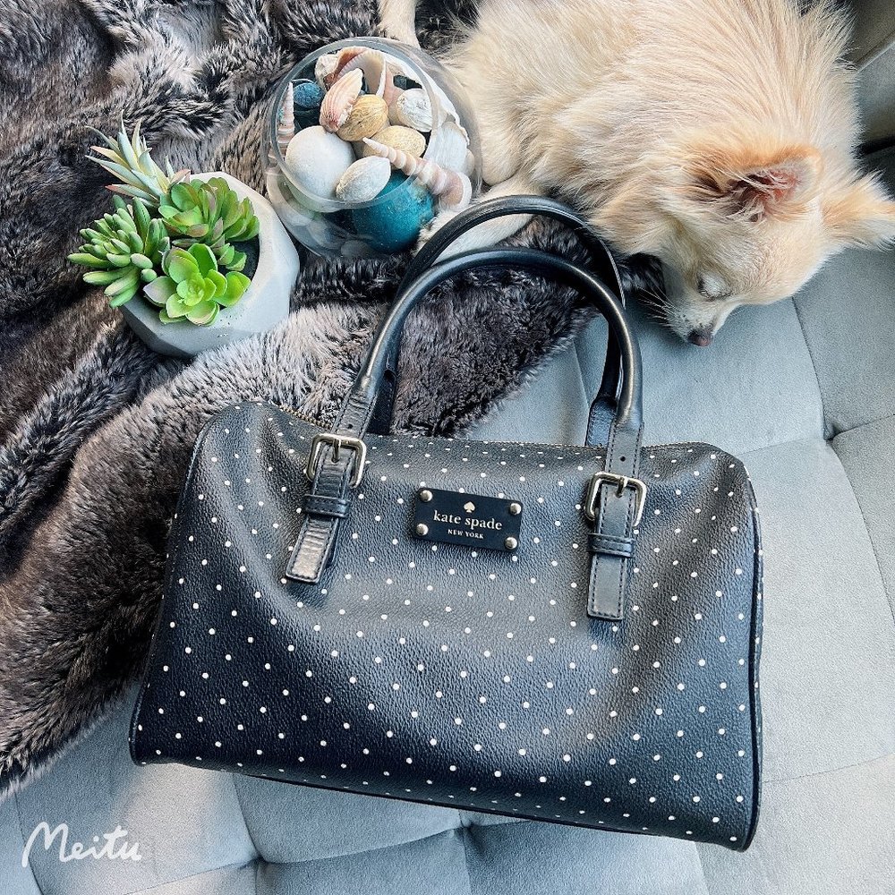 Kate Spade Top Handle Bag